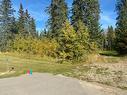 160 Meadow Ponds Drive, Rural Clearwater County, AB 