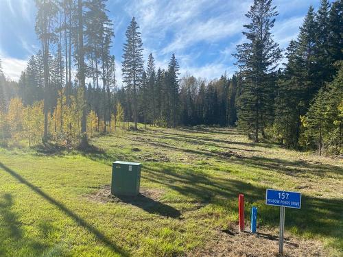 157 Meadow Ponds Drive, Rural Clearwater County, AB 