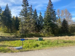 169 Meadow Ponds Drive  Rural Clearwater County, AB T4T 1A7
