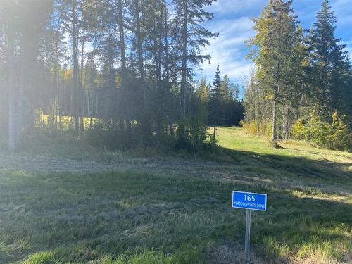 165 Meadow Ponds Drive, Rural Clearwater County, AB 