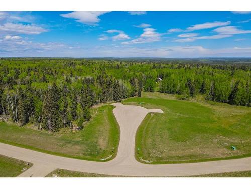 206 Fox Stone Place, Rural Clearwater County, AB 