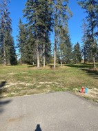 313 Valley View Drive  Rural Clearwater County, AB T4T 1A7