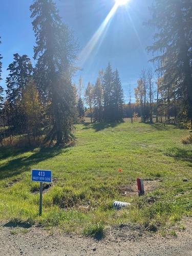 413 Valley View Close, Rural Clearwater County, AB 