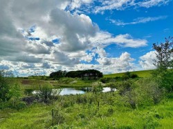 E/2 9-38-3W4  Rural Provost No. 52, M.D. Of, AB T0B 3S0