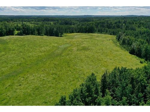 42027 Township Road 464, Rural Wetaskiwin No. 10, County Of, AB - Outdoor With View