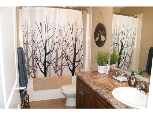 5006 47 Avenue, Forestburg, AB - Indoor Photo Showing Bathroom