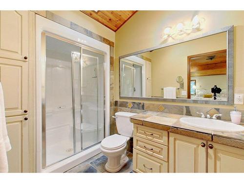 138-36240 Range Road 250, Rural Red Deer County, AB - Indoor Photo Showing Bathroom