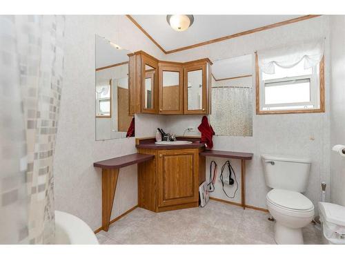 43049 Range Road 214, Rural Camrose County, AB - Indoor Photo Showing Bathroom