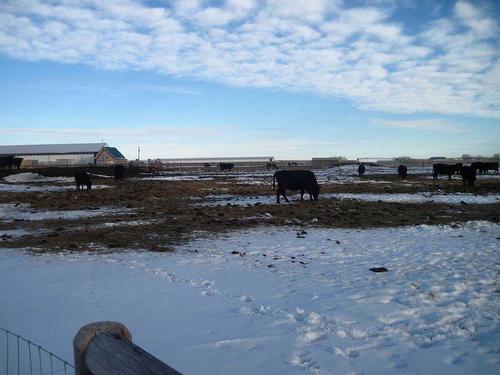 242044A Range Road 224, Rural Wheatland County, AB - Outdoor With View