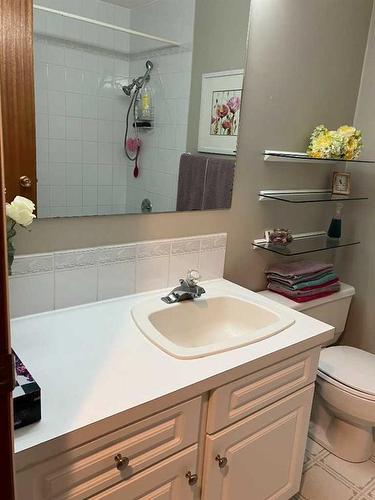 14275 Twp. Rd. 422 Township, Rural Flagstaff County, AB - Indoor Photo Showing Bathroom