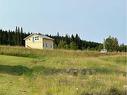 217 Tillie Avenue, Nordegg, AB 