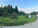 402045 Range Road 6-2, Rural Clearwater County, AB 