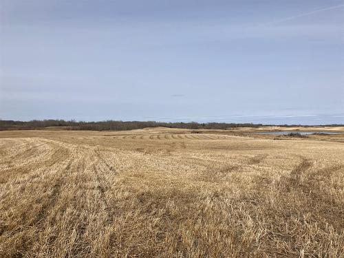 On Highway 21A, Bashaw, AB 