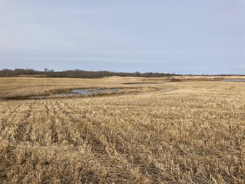 On Highway 21A, Bashaw, AB 