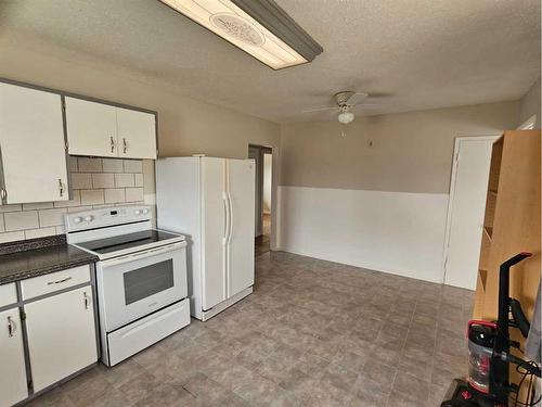 38313 Range Road 160, Rural Paintearth No. 18, County Of, AB - Indoor Photo Showing Kitchen