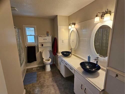 38313 Range Road 160, Rural Paintearth No. 18, County Of, AB - Indoor Photo Showing Bathroom
