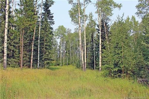 5 Ridgeland Road, Rural Clearwater County, AB 