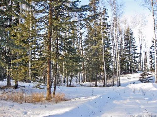 5 Ridgeland Road, Rural Clearwater County, AB 