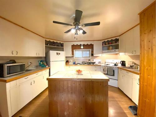 116 Alberta Ave, Bawlf, AB - Indoor Photo Showing Kitchen With Double Sink