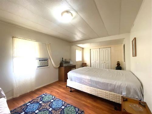 116 Alberta Ave, Bawlf, AB - Indoor Photo Showing Bedroom