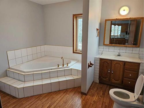 13177 Highway 602, Rural Flagstaff County, AB - Indoor Photo Showing Bathroom