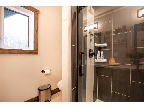424021 Range Road 14A, Rural Ponoka County, AB - Indoor Photo Showing Bathroom