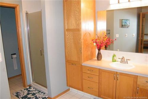 5606 46 Avenue West, Forestburg, AB - Indoor Photo Showing Bathroom