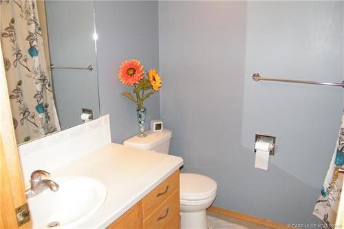 5606 46 Avenue West, Forestburg, AB - Indoor Photo Showing Bathroom