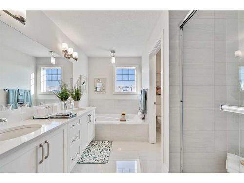 136 Emberside Hollow, Cochrane, AB - Indoor Photo Showing Bathroom