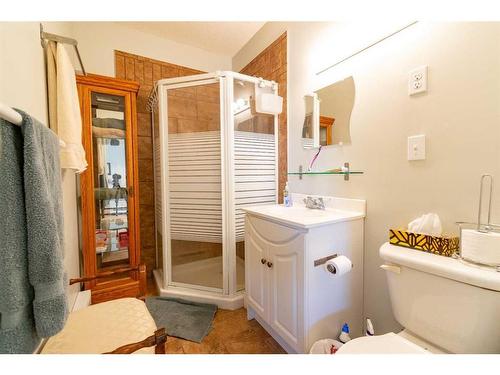 310091 Range Road 174A, Delia, AB - Indoor Photo Showing Bathroom