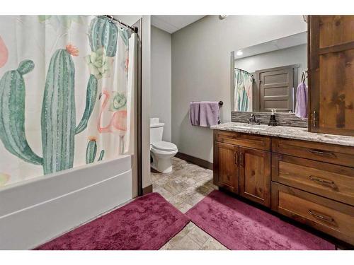 43532 Range Road 114, Rural Flagstaff County, AB - Indoor Photo Showing Bathroom