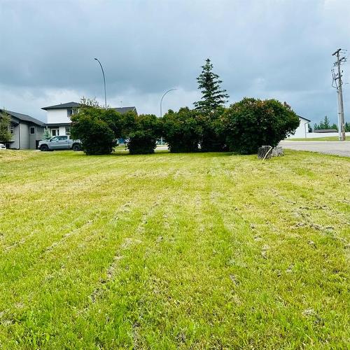 4603 44 Avenue, Rocky Mountain House, AB, T4T 1C7 - vacant land