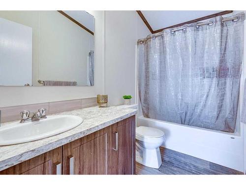 59A-10046 Township Road 422, Rural Ponoka County, AB - Indoor Photo Showing Bathroom