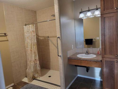 102A-10042 Township Road 422, Rural Ponoka County, AB - Indoor Photo Showing Bathroom