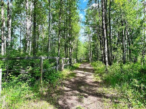 410025B Highway 22, Rural Clearwater County, AB - Outdoor