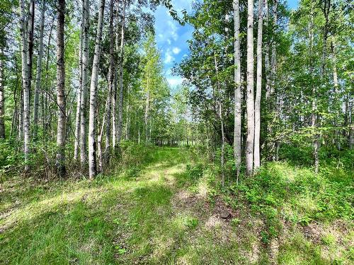 410025B Highway 22, Rural Clearwater County, AB - Outdoor