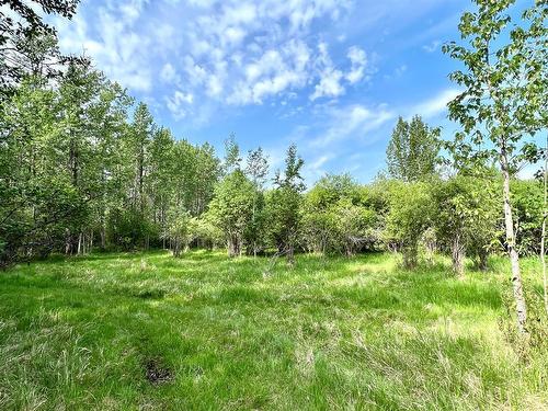 410025B Highway 22, Rural Clearwater County, AB - Outdoor