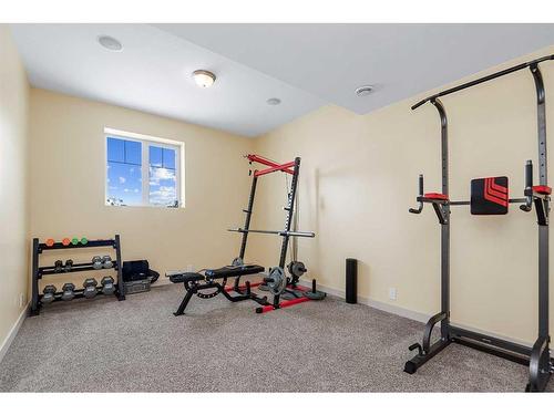 6125 Evergreen Close, Rimbey, AB - Indoor Photo Showing Gym Room