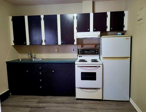 5029 47 Street, Sylvan Lake, AB - Indoor Photo Showing Kitchen
