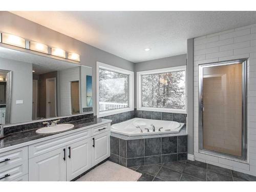 51146 Ab 21, Rural Strathcona County, AB - Indoor Photo Showing Bathroom