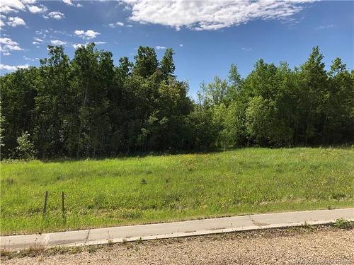 Lot 4 44 Avenue Close, Alix, AB 