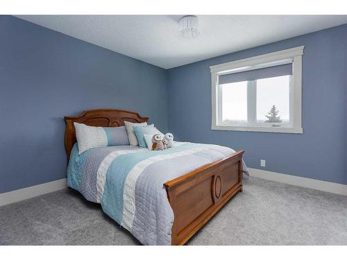 19-26534 Township Road 384, Rural Red Deer County, AB - Indoor Photo Showing Bedroom