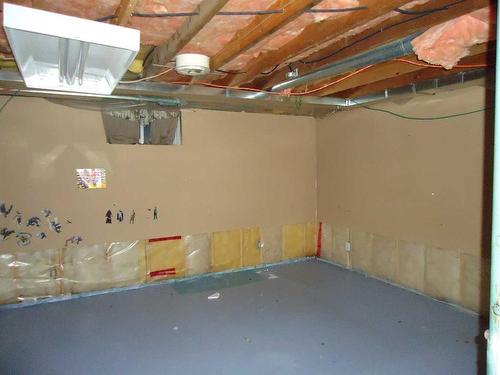 11 Parkland Way, Rural Ponoka County, AB - Indoor Photo Showing Basement