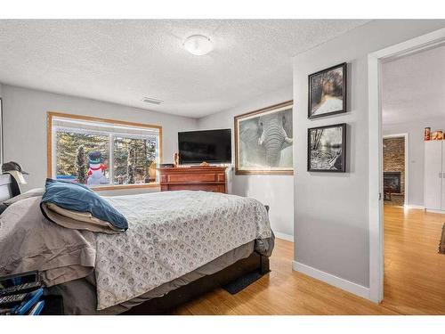 917 East Lakeview Road, Chestermere, AB - Indoor Photo Showing Bedroom