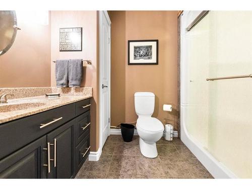 322-46466 Range Road 213, Rural Camrose County, AB - Indoor Photo Showing Bathroom
