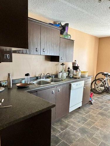 201-4814 46 Street, Red Deer, AB - Indoor Photo Showing Kitchen With Double Sink