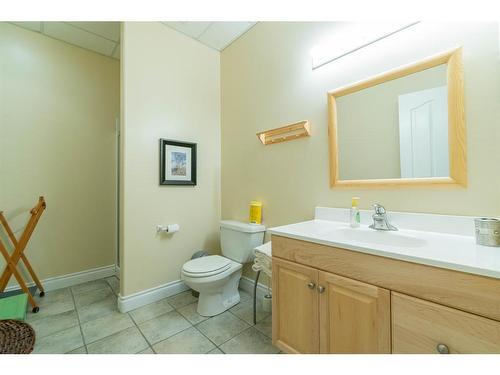 32 Macdonald Drive, Rural Stettler No. 6, County Of, AB - Indoor Photo Showing Bathroom