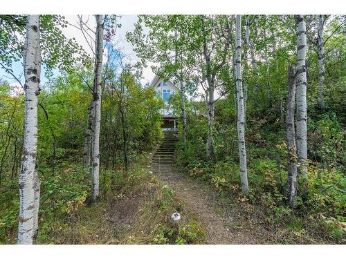 32 Macdonald Drive, Rural Stettler No. 6, County Of, AB - Outdoor With View
