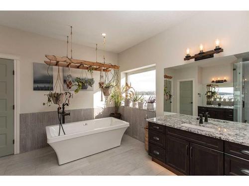 37247 Range Road 264, Rural Red Deer County, AB - Indoor Photo Showing Bathroom