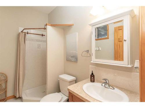 439 Summer Crescent, Rural Ponoka County, AB - Indoor Photo Showing Bathroom